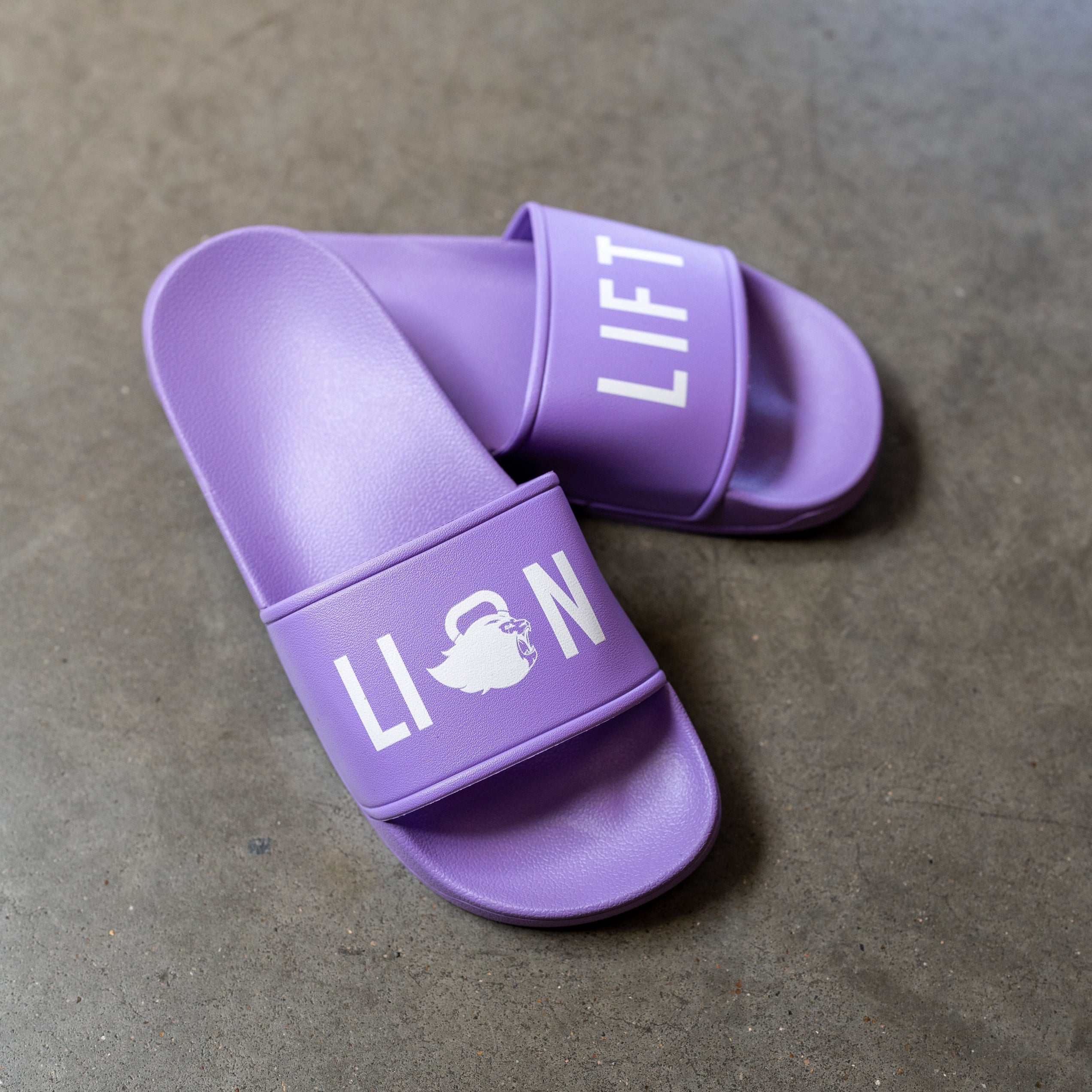 SLIPPERS "LILAC" LION UNISEX